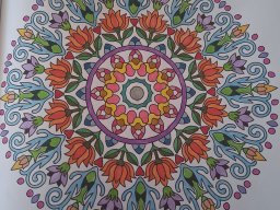 whatsapp bild 2025-04-05 um 12.06.44_4b662924